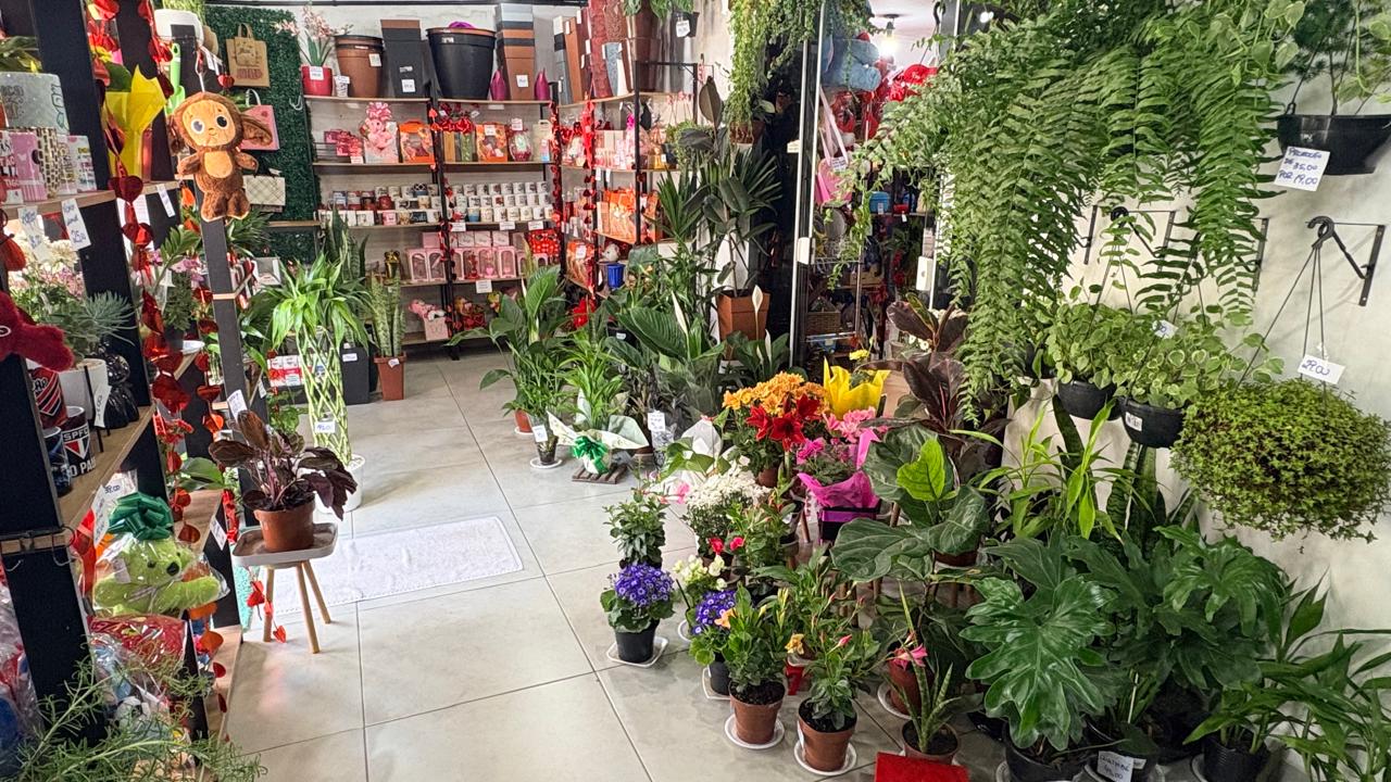 Flores e plantas expostas no interior do Garden