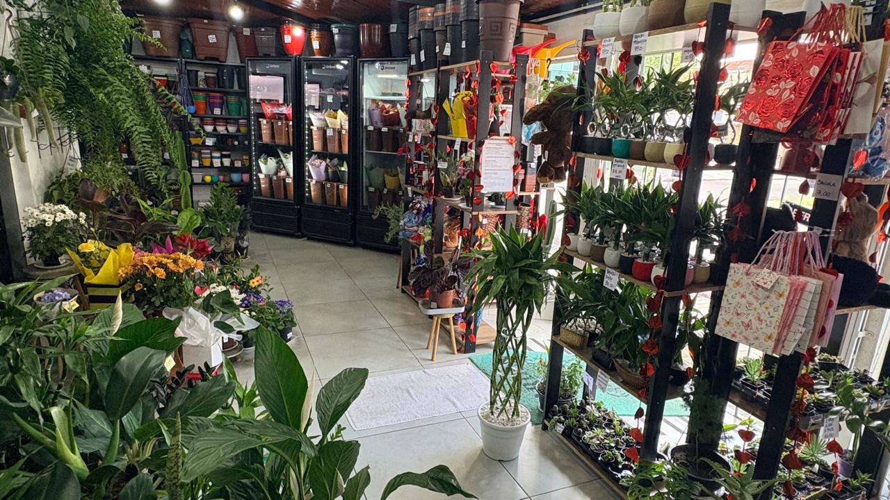 Outra vista do interior com plantas e vasos
